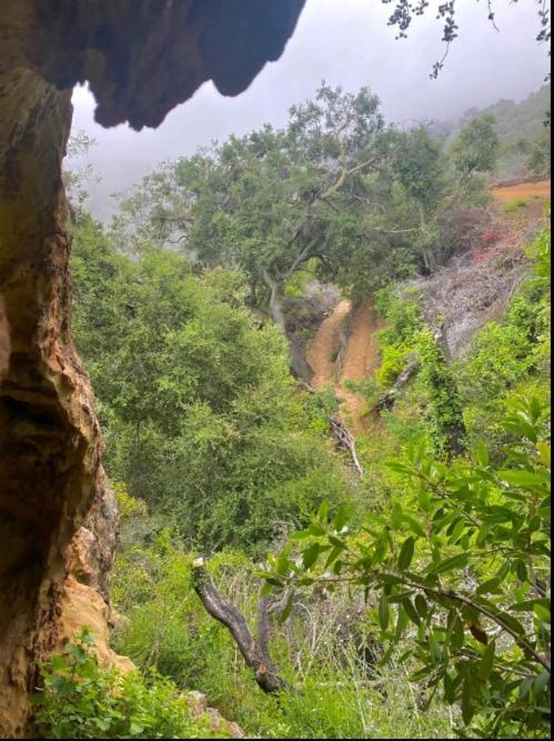 Backpacker's Dream With Detached Bathroom, Private Trails And Creek!