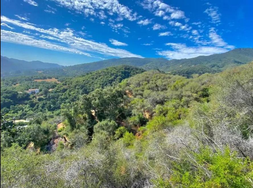 Backpacker's Dream With Detached Bathroom, Private Trails And Creek! Chalet *